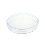 Cell culture dish, 150 x 25mm